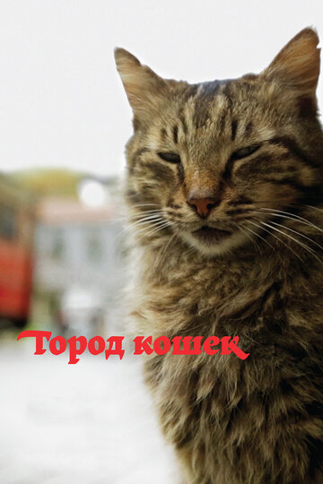Постер Город кошек Постер Город кошек