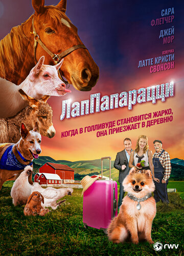 Постер ЛапПарацци Постер ЛапПарацци