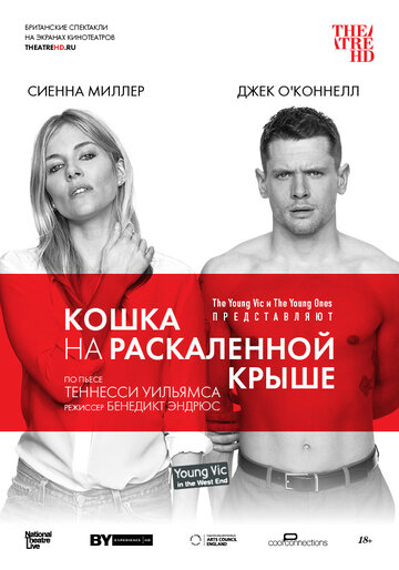 Постер Кошка на раскалённой крыше Постер Кошка на раскалённой крыше