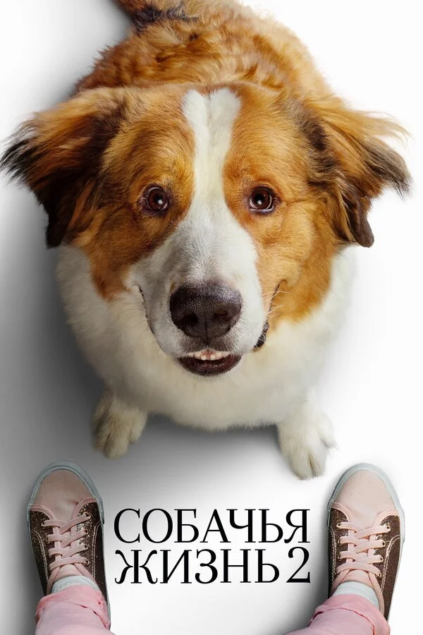 Постер Собачья жизнь 2 Постер Собачья жизнь 2