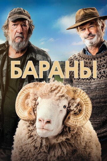 Постер Бараны Постер Бараны