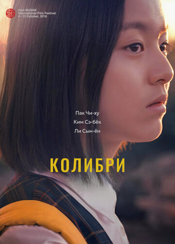 Постер Колибри Постер Колибри