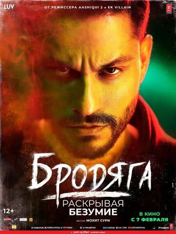 Постер Бродяга: Раскрывая безумие Постер Бродяга: Раскрывая безумие