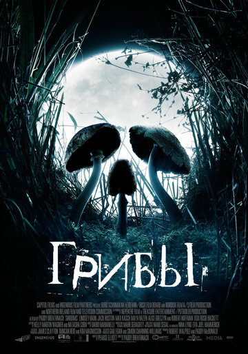 Постер Грибы Постер Грибы