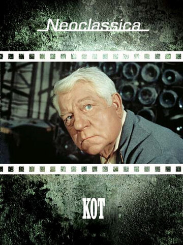 Постер Кот Постер Кот