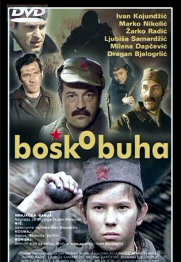 Постер Бошко Буха Постер Бошко Буха