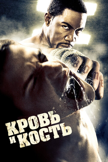 Постер Кровь и кость Постер Кровь и кость