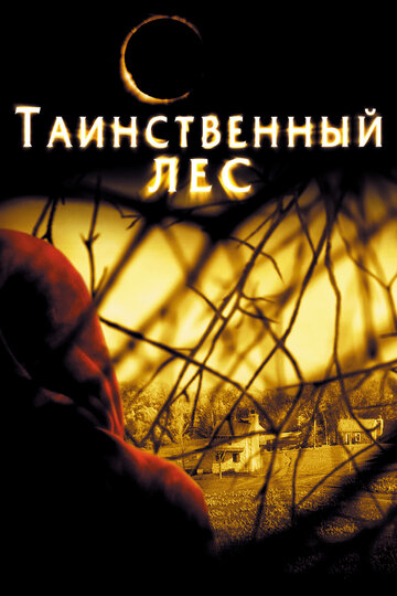 Постер Таинственный лес Постер Таинственный лес
