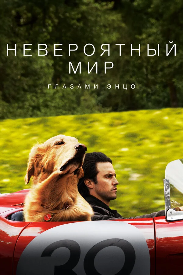 Постер Невероятный мир глазами Энцо Постер Невероятный мир глазами Энцо