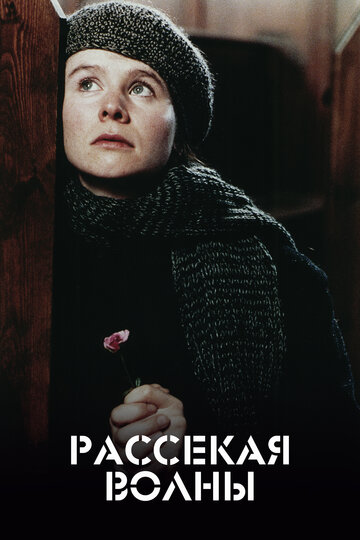 Постер Рассекая волны Постер Рассекая волны