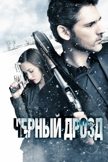 Постер Черный дрозд Постер Черный дрозд