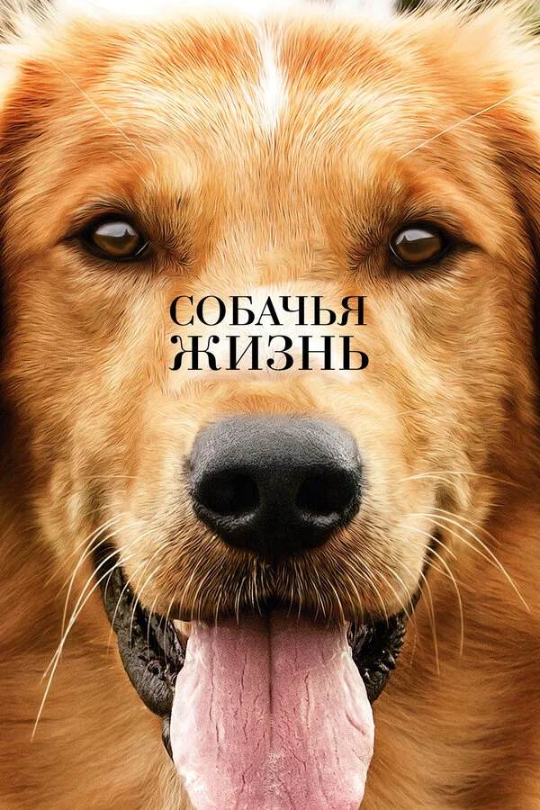 Постер Собачья жизнь Постер Собачья жизнь